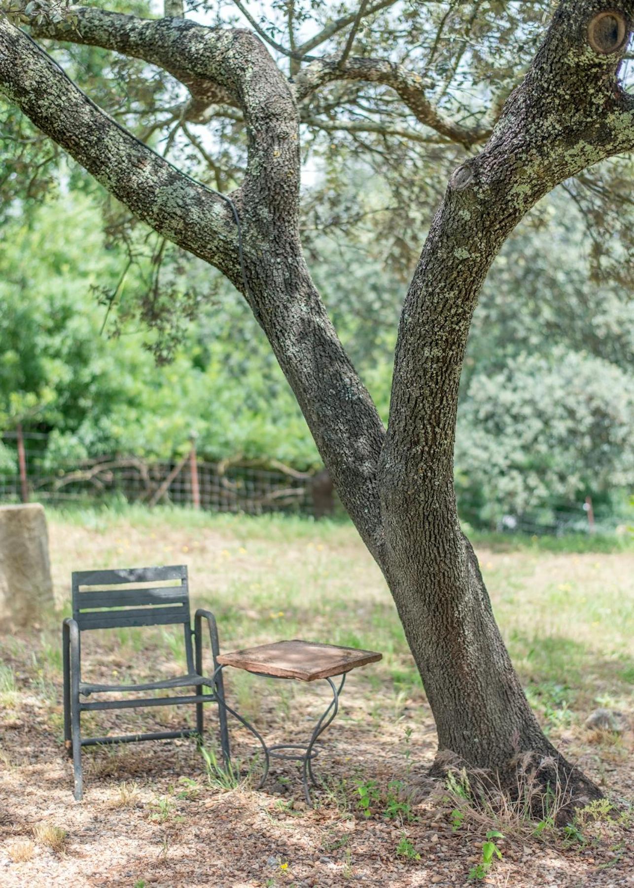 厄尔尼诺佩德罗索 La Umbria De La Ribera旅馆 外观 照片