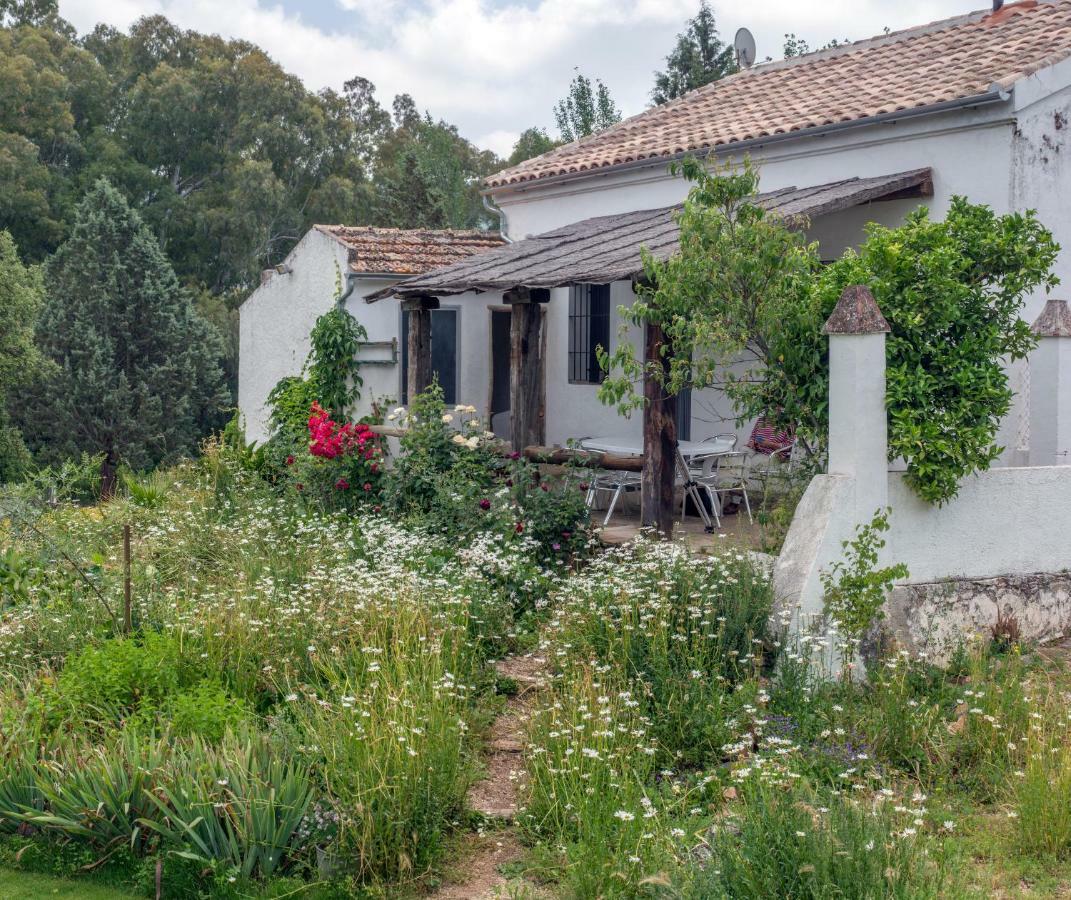 厄尔尼诺佩德罗索 La Umbria De La Ribera旅馆 外观 照片