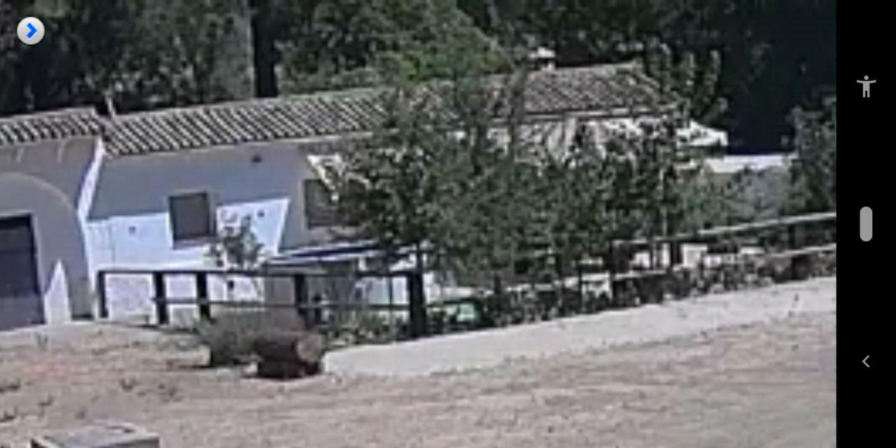 厄尔尼诺佩德罗索 La Umbria De La Ribera旅馆 外观 照片